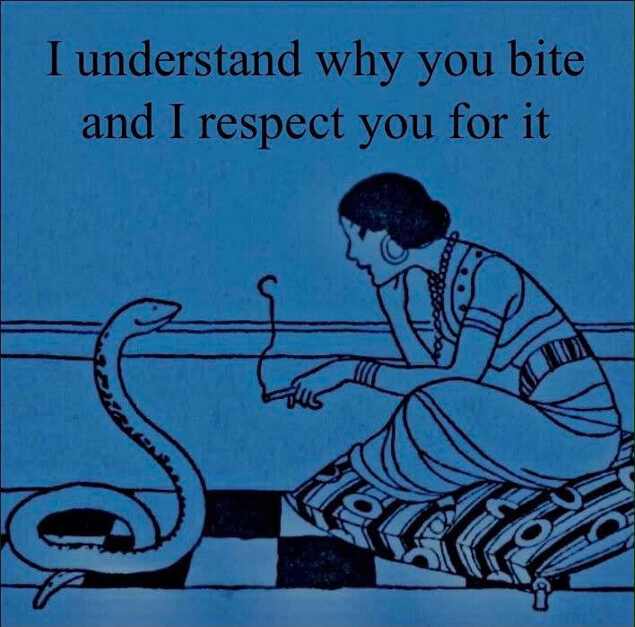 A woman sits on a cushion facing a snake, under the words: I understand why you bite and I respect you for it